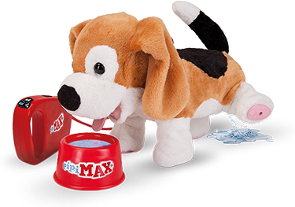 Pipi Max Beagle 