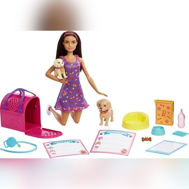 BARBIE šunelių priežiūros rinkinys, HKD86