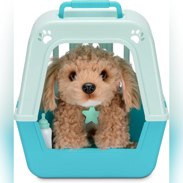Little Live Pets My Really Real Puppy - Curley The Cavoodle (Illuminated Passport)
