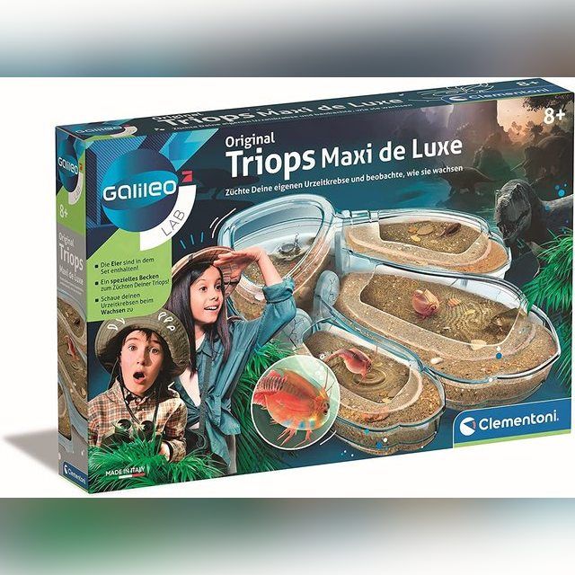 Priešistorinių VĖŽIAGYVIŲ auginimo rinkinys Galileo triops maxi de luxe