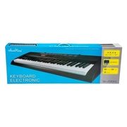 61 Key Electronic Keyboard SK-20066