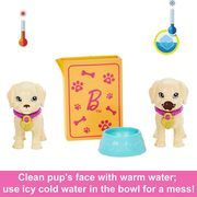 BARBIE Dog Grooming Kit, HKD86
