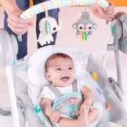 BRIGHT STARTS sūpuoklės - gultukas Whimsical Wild