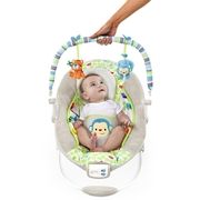 Comfort & Harmony Cradling Bouncer, Merry Monkeys