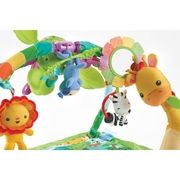 Fisher Price Rainforest Melodies & Lights Deluxe