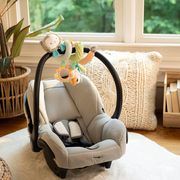 INGENUITY TOYS pakabinamas žaislas Nally and Friends, 13046