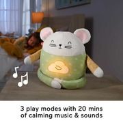 Interaktyvus žaislas Fisher Price Meditation Mouse