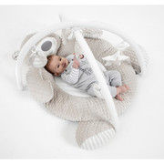 Lavinamasis kilimėlis Babyzee Bear Necessities Play Gym (0m+)
