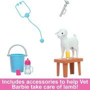 Lėlė Barbie Veterinarijos gydytoja HRG42