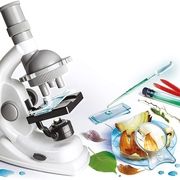 Clementoni 69804 - Galileo: Nature under the Microscope