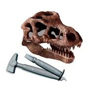 Clementoni Fossils - T-Rex Skull 50790 Science Experiment Set