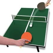 Stalo teniso stalas Ping-Pong Table Top