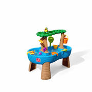 Step2 Tropical Rainforest Water Table