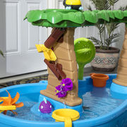 Step2 Tropical Rainforest Water Table